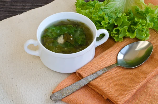 Sopa verde — Foto de Stock