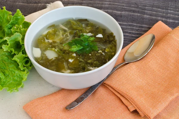 Sopa verde — Foto de Stock