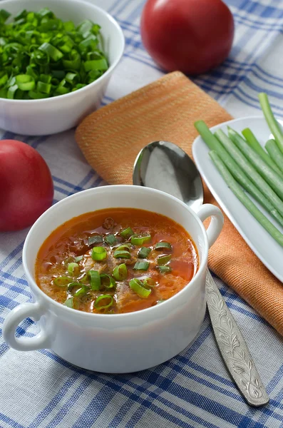 Tomatensoep met rijst en vlees Rechtenvrije Stockfoto's