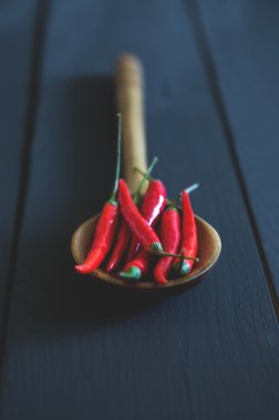 tahta kaşık üzerinde kırmızı biber biber
