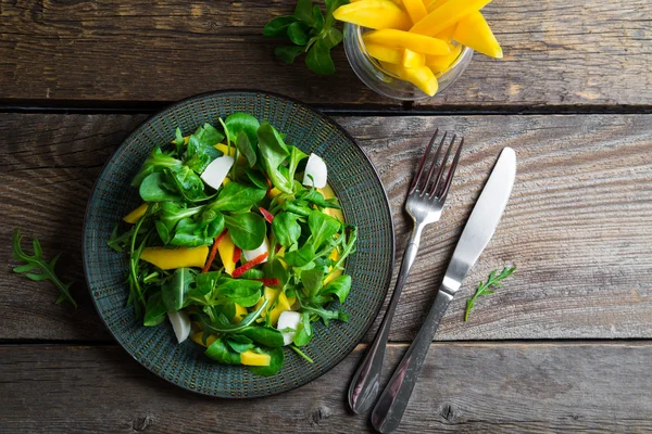The organic salad with mango and mozzarella — Stock Photo, Image