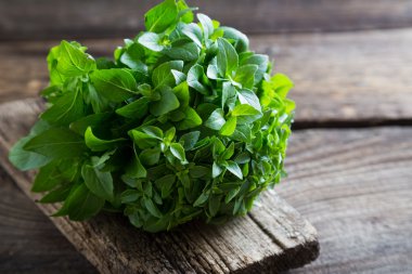 Taze fesleğen ve kekik panoları