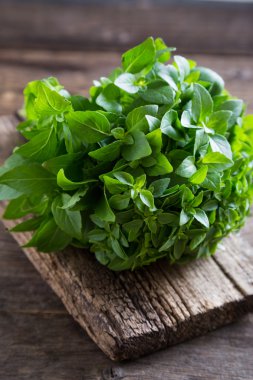 Taze fesleğen ve kekik panoları