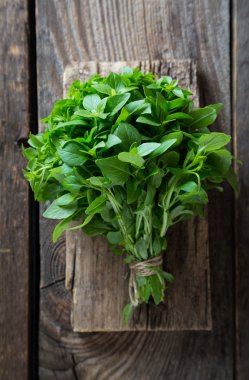 Taze fesleğen ve kekik panoları