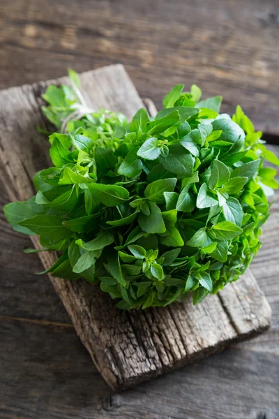 Taze fesleğen ve kekik panoları