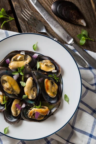 Mussel dengan bawang merah dan oregano — Stok Foto