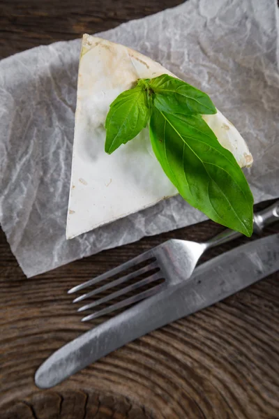 Pezzo di formaggio con muffa bianca — Foto Stock