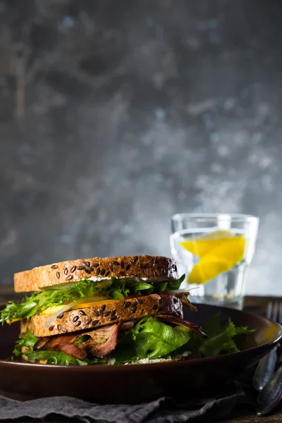 Sándwich grande con carne y verduras — Foto de Stock