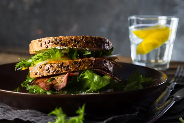 Sándwich grande con carne y verduras — Foto de Stock