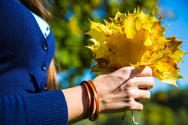 akçaağaç yaprakları kız, ellerinde sonbahar