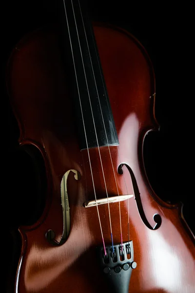 Violín sobre fondo negro — Foto de Stock