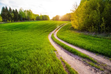 Köy yolunda. günbatımı