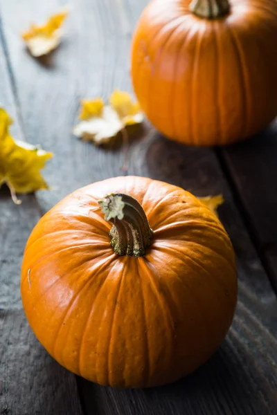 Calabaza fresca, otoño —  Fotos de Stock