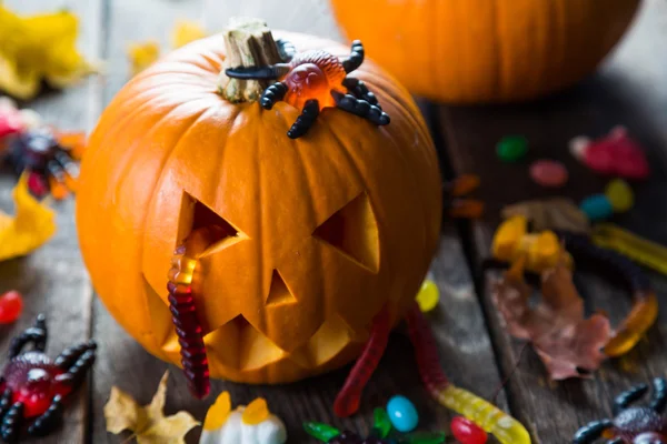 Halloween lantern Jack and Candy — Stock Photo, Image