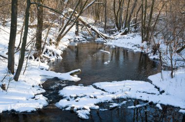 Ormandaki Kış Nehri