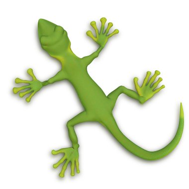Gecko lizzard 3d