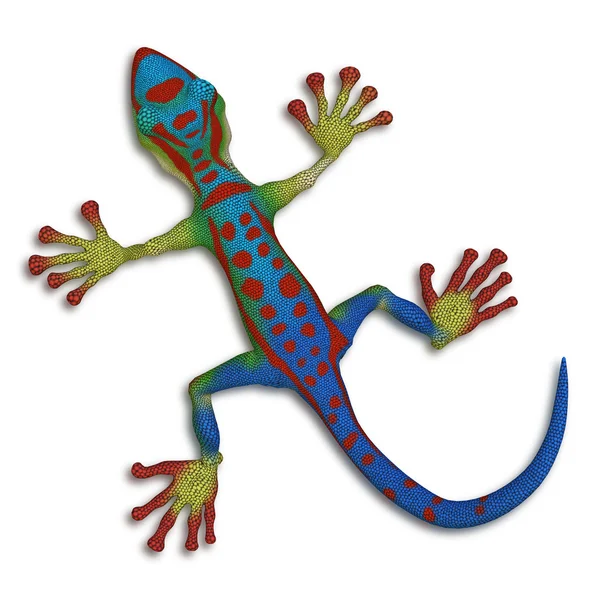 Gecko lizzard — Stockfoto