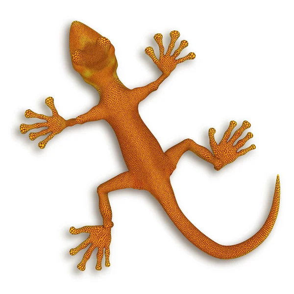 Gecko lizzard — Stockfoto