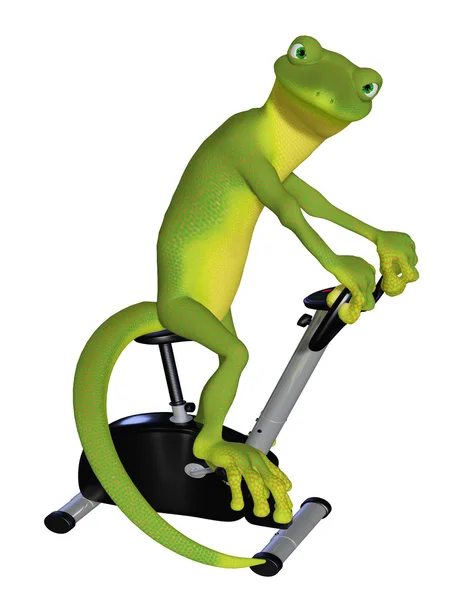 Gecko-Cardio-Training — Stockfoto