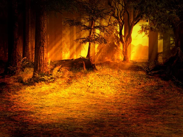 日当たりの良い森林芝生 — ストック写真