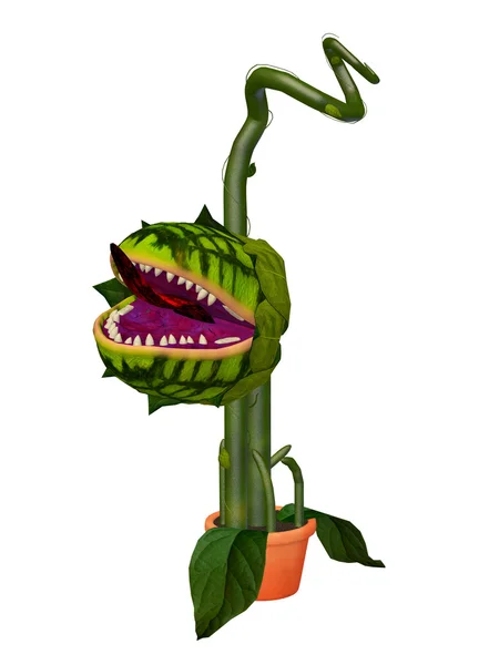 Potwór kwiat — Zdjęcie stockowe