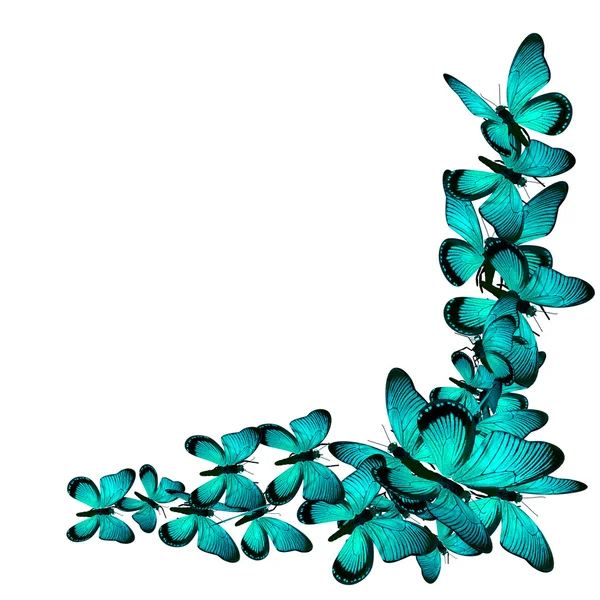 Rama motyle — Zdjęcie stockowe