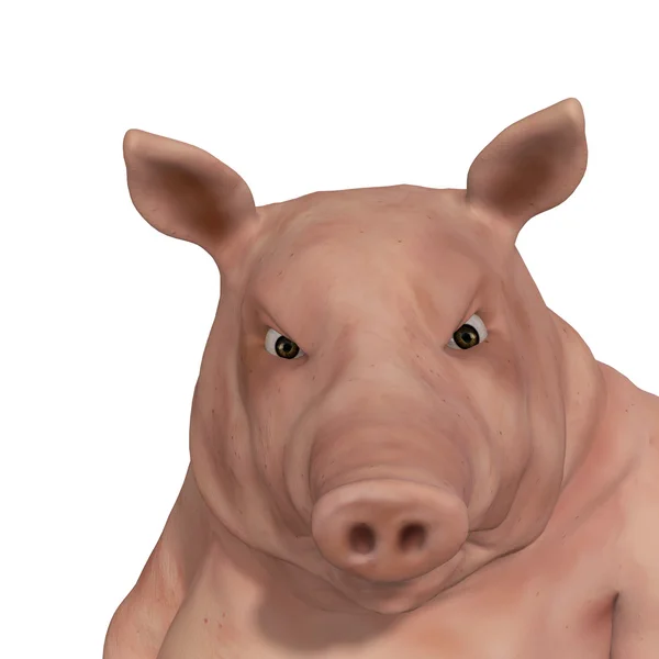 Schweine — Stockfoto