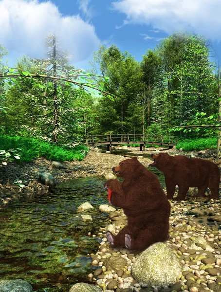 Brązowe niedźwiedzie grizzly — Zdjęcie stockowe