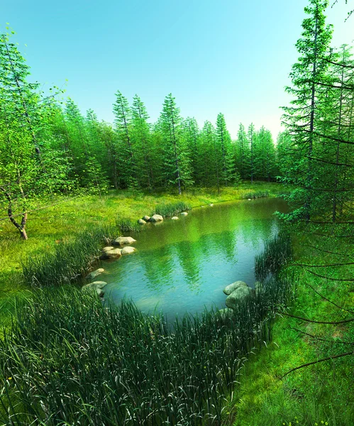 Kayıp göl ormanın içinde