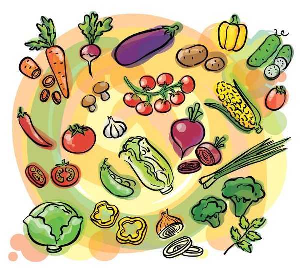 sebze sulu boya seti