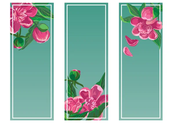 Cadre floral avec pivoine — Image vectorielle