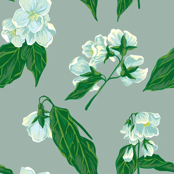 Floral sin costura con jazmín blanco — Vector de stock