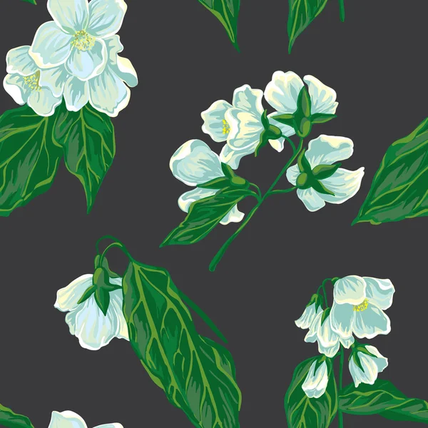 Floral sans couture avec du jasmin blanc — Image vectorielle