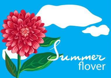 çiçek grafik tasarım