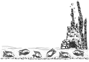 Tropikal Akvaryum Balık 