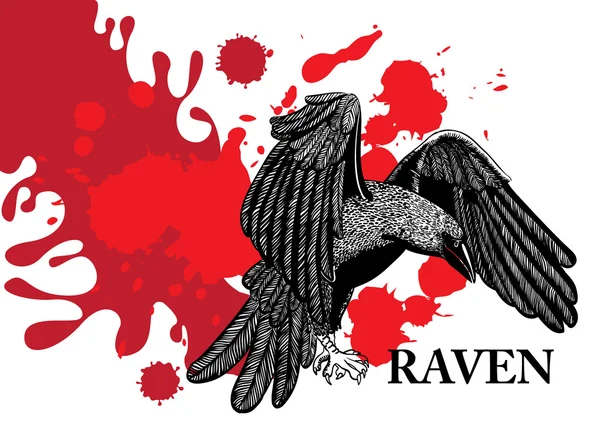 Vliegende raven — Stockvector