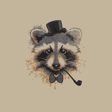 Raccon