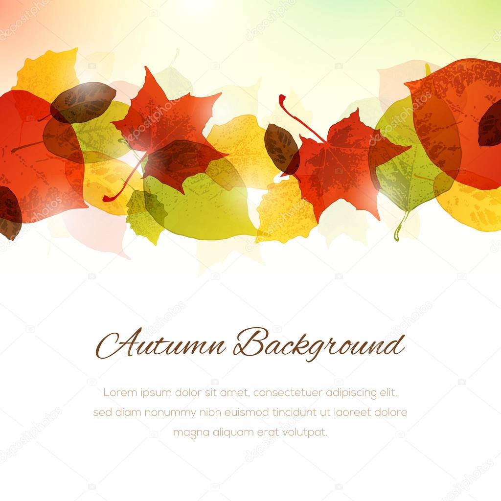 Background with Autumn Leaves at the Top and Copy Space at the B