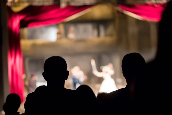 Publiczność Teatrze Ogląda Sztukę — Zdjęcie stockowe