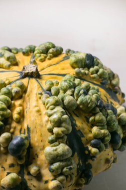 beyaz arkaplan ile kabak dokusu malzeme