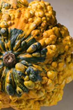 kabak arkaplan dokusu malzemesi tam çerçeve