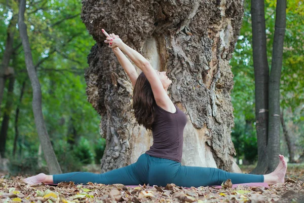 Lezione Yoga All Aperto Vista — Foto Stock