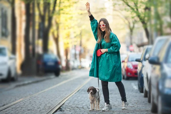 Woman Dog Waving Stop Taxi Street — Stock Photo, Image