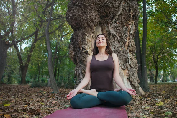 Meditación Yoga Aire Libre Junto Árbol — Foto de Stock