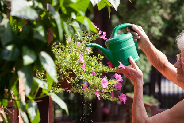 Mujer Riego Flores Vista — Foto de Stock