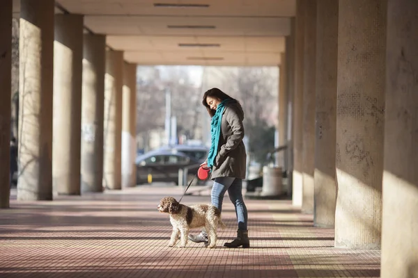 Femme Emmenant Son Chien Pour Une Promenade — Photo