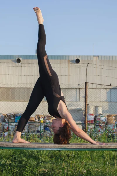 Ung Kvinde Gør Legged Nedad Hund Yoga Pose - Stock-foto