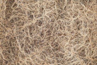 Bitki köklerinin desenleri ve dokuları