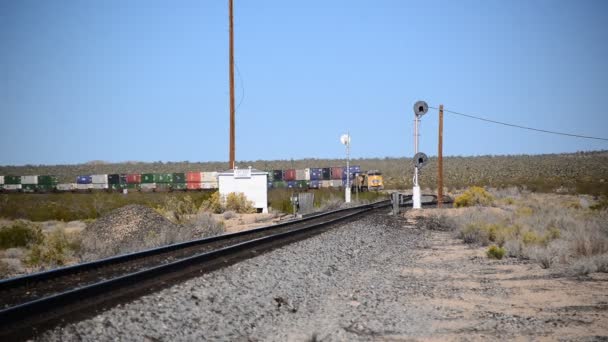 Вантажний поїзд у пустелі — стокове відео