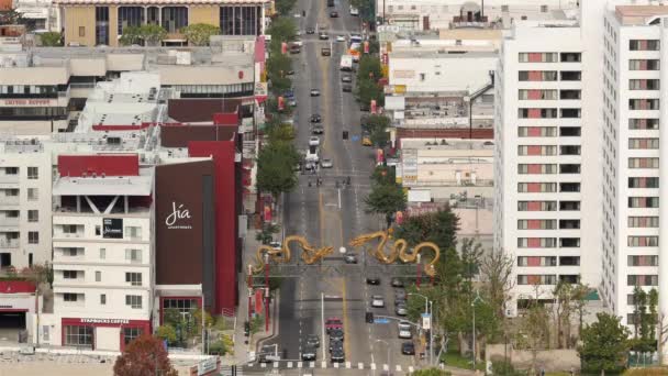 Ruch w Chinatown centrum Los Angeles w Kalifornii — Wideo stockowe